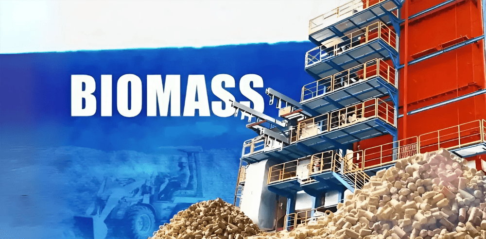 Potential of biomass energy in…
