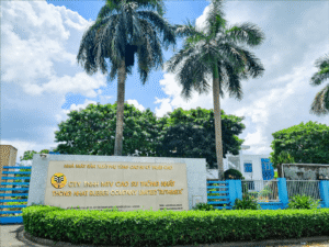 Ruthimex Company Limited Drives Vietnam’s Rubber Industry